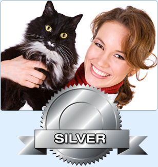 Search Engine Optimization for Veterinary Hospital Websites - Top Dog Rankings Silver Search Engine Optimization Package